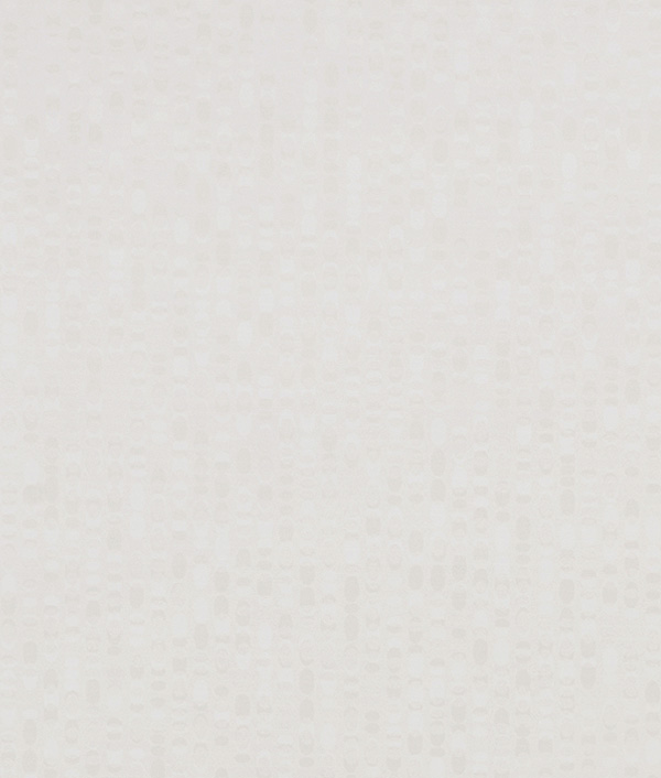 无限白--1